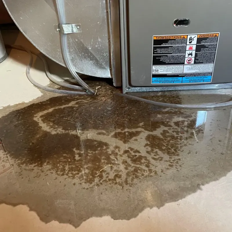 Pipe Burst and Leak Restoration in Voorheesville, NY
